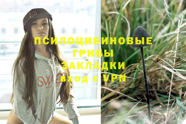 бошки Богородск