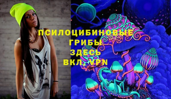 дурь Богданович