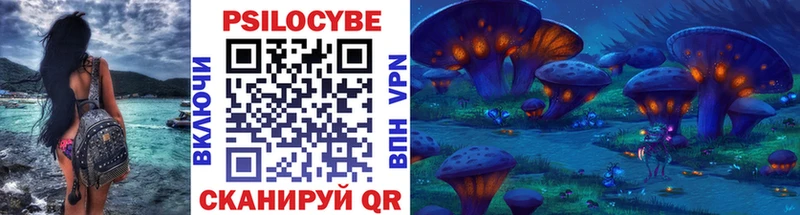 kraken вход Острогожск Псилоцибиновые грибы Psilocybine cubensis