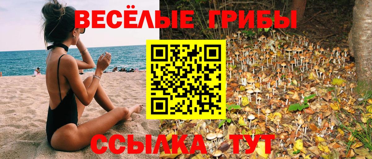 Псилоцибиновые грибы Psilocybe Острогожск