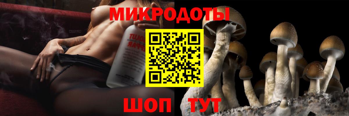 купить наркотики цена  Галлюциногенные грибы GOLDEN TEACHER  Вход с VPN  Галлюциногенные грибы мухоморы  Острогожск 